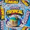 gumdropz tropical snow