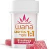 1:1 Strawberry Lemonade Gummies - [10pk] (100mg CBD/100mg THC)