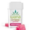 Wana Watermelon Gummies - Hybrid [10pk] (100mg)