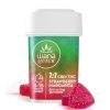 1:1 Strawberry Margarita Gummies - [20pk] (100mg CBD/100mg THC)
